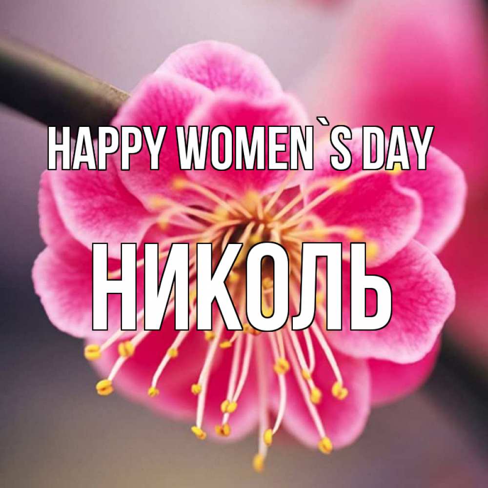 Greetings card с именем, Николь happy women`s day цветы Greetings with text for free download 